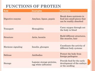 FUNCTIONS OF PROTEIN
Role Examples Functions
Digestive enzyme Amylase, lipase, pepsin
Break down nutrients in
food into small pieces that
can be readily absorbed
Transport Hemoglobin
Carry oxygen through out
the body in blood
Structure Actin, keratin
Build different structures,
like muscles, hair
Hormone signaling Insulin, glucagon
Coordinate the activity of
different body systems
Defense Antibodies
Protect the body from
foreign pathogens
Storage
Legume storage proteins,
egg white (albumin)
Provide food for the early
development of the embryo
or the seedling
 