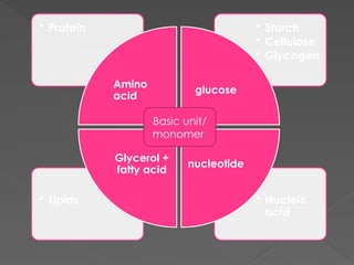 • Nucleic
acid
• Lipids
• Starch
• Cellulose
• Glycogen
• Protein
Amino
acid
glucose
nucleotide
Glycerol +
fatty acid
Basic unit/
monomer
 
