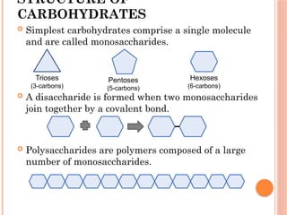 STRUCTURE OF
CARBOHYDRATES
 Simplest carbohydrates comprise a single molecule
and are called monosaccharides.
 A disaccharide is formed when two monosaccharides
join together by a covalent bond.
 Polysaccharides are polymers composed of a large
number of monosaccharides.
Trioses
(3-carbons)
Pentoses
(5-carbons)
Hexoses
(6-carbons)
 