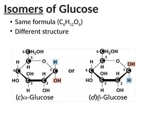 Isomers of Glucose
• Same formula (C6H12O6)
• Different structure
 