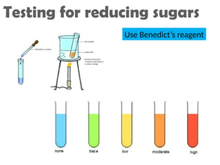 Testing for reducing sugars
Use Benedict’s reagent
 