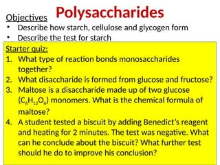 Polysaccharides
• Describe how starch, cellulose and glycogen form
• Describe the test for starch
Objectives
Starter quiz:
1. What type of reaction bonds monosaccharides
together?
2. What disaccharide is formed from glucose and fructose?
3. Maltose is a disaccharide made up of two glucose
(C6H12O6) monomers. What is the chemical formula of
maltose?
4. A student tested a biscuit by adding Benedict’s reagent
and heating for 2 minutes. The test was negative. What
can he conclude about the biscuit? What further test
should he do to improve his conclusion?
 