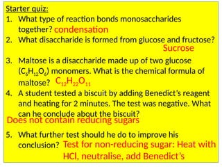 Starter quiz:
1. What type of reaction bonds monosaccharides
together?
2. What disaccharide is formed from glucose and fructose?
3. Maltose is a disaccharide made up of two glucose
(C6H12O6) monomers. What is the chemical formula of
maltose?
4. A student tested a biscuit by adding Benedict’s reagent
and heating for 2 minutes. The test was negative. What
can he conclude about the biscuit?
5. What further test should he do to improve his
conclusion?
condensation
Sucrose
C12H22O11
Does not contain reducing sugars
Test for non-reducing sugar: Heat with
HCl, neutralise, add Benedict’s
 