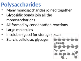 Polysaccharides
• Many monosaccharides joined together
• Glycosidic bonds join all the
monosaccharides
• All formed by condensation reactions
• Large molecules
• Insoluble (good for storage)
• Starch, cellulose, glycogen
 