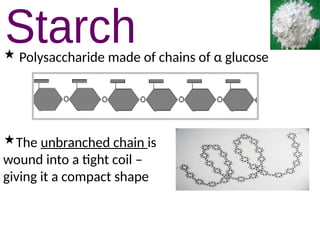  Polysaccharide made of chains of α glucose
The unbranched chain is
wound into a tight coil –
giving it a compact shape
 