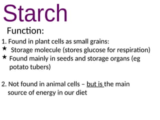 1. Found in plant cells as small grains:
 Storage molecule (stores glucose for respiration)
 Found mainly in seeds and storage organs (eg
potato tubers)
2. Not found in animal cells – but is the main
source of energy in our diet
Function:
 