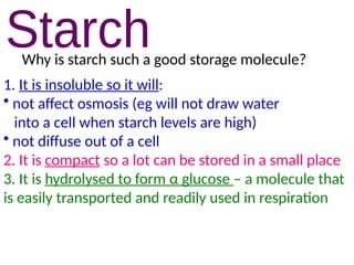 Why is starch such a good storage molecule?
1. It is insoluble so it will:
• not affect osmosis (eg will not draw water
into a cell when starch levels are high)
• not diffuse out of a cell
2. It is compact so a lot can be stored in a small place
3. It is hydrolysed to form α glucose – a molecule that
is easily transported and readily used in respiration
 