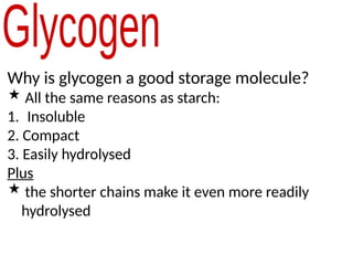 Why is glycogen a good storage molecule?
 All the same reasons as starch:
1. Insoluble
2. Compact
3. Easily hydrolysed
Plus
 the shorter chains make it even more readily
hydrolysed
 