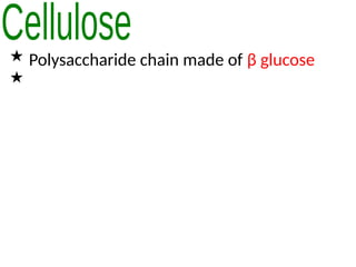  Polysaccharide chain made of β glucose

 