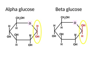 Alpha glucose Beta glucose
H
H
H
H
H
OH OH
OH
CH2OH
O
OH
H
H
H
H
H
OH
OH
OH
CH2OH
O
OH
 