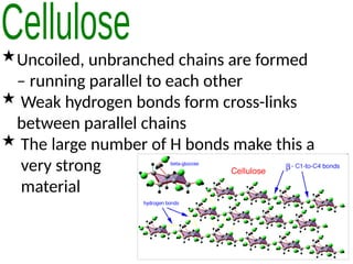 Uncoiled, unbranched chains are formed
– running parallel to each other
 Weak hydrogen bonds form cross-links
between parallel chains
 The large number of H bonds make this a
very strong
material
 