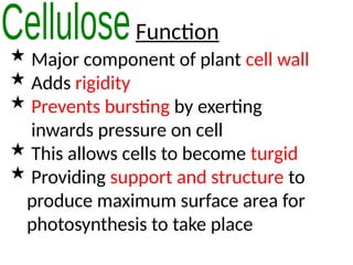 Function
 Major component of plant cell wall
 Adds rigidity
 Prevents bursting by exerting
inwards pressure on cell
 This allows cells to become turgid
 Providing support and structure to
produce maximum surface area for
photosynthesis to take place
 
