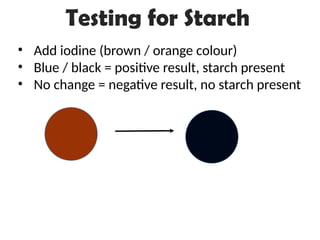 Testing for Starch
• Add iodine (brown / orange colour)
• Blue / black = positive result, starch present
• No change = negative result, no starch present
 
