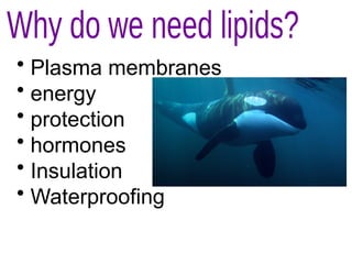 • Plasma membranes
• energy
• protection
• hormones
• Insulation
• Waterproofing
 