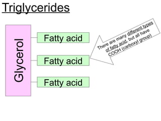 Triglycerides
Glycerol
Fatty acid
Fatty acid
Fatty acid
There are many different types
of fatty acid, but all have
COOH (carboxyl group)
 