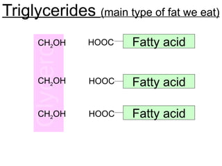 Triglycerides (main type of fat we eat)
Fatty acid
Fatty acid
Fatty acid
CH2OH
CH2OH
CH2OH
HOOC
HOOC
HOOC
 