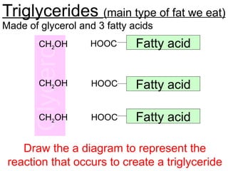 Triglycerides (main type of fat we eat)
Made of glycerol and 3 fatty acids
CH2OH
CH2OH
CH2OH
Fatty acid
Fatty acid
Fatty acid
HOOC
HOOC
HOOC
Draw the a diagram to represent the
reaction that occurs to create a triglyceride
 