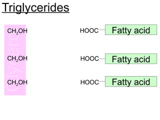 Triglycerides
Fatty acid
Fatty acid
Fatty acid
CH2OH
CH2OH
CH2OH
HOOC
HOOC
HOOC
 