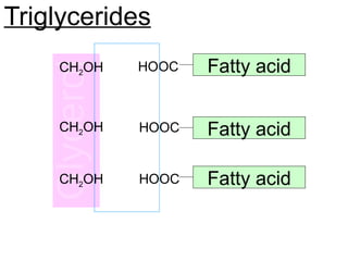 Triglycerides
Fatty acid
Fatty acid
Fatty acid
CH2OH
CH2OH
CH2OH
HOOC
HOOC
HOOC
 