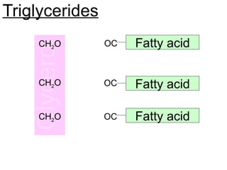 Triglycerides
Fatty acid
Fatty acid
Fatty acid
CH2O
CH2O
CH2O
OC
OC
OC
 