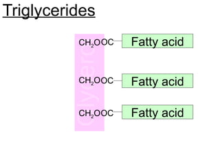 Triglycerides
Fatty acid
Fatty acid
Fatty acid
CH2O
CH2O
CH2O
OC
OC
OC
 