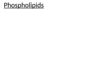 Phospholipids
 
