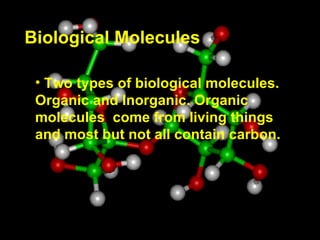 Biological Molecules ,[object Object]