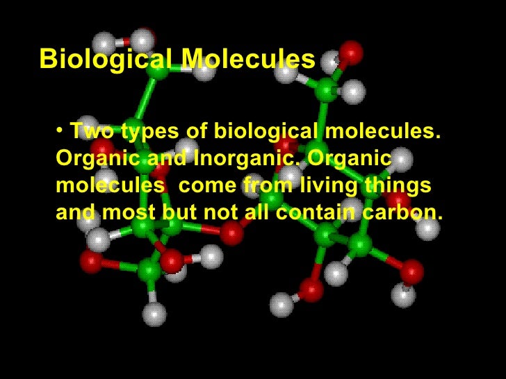 Biological Molecules Notes