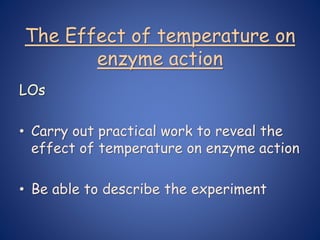 The Effect of temperature on
enzyme action
LOs
• Carry out practical work to reveal the
effect of temperature on enzyme action
• Be able to describe the experiment
 