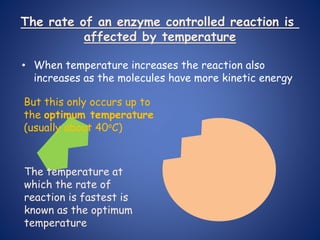 • When temperature increases the reaction also
increases as the molecules have more kinetic energy
The rate of an enzyme controlled reaction is
affected by temperature
But this only occurs up to
the optimum temperature
(usually about 40oC)
The temperature at
which the rate of
reaction is fastest is
known as the optimum
temperature
 