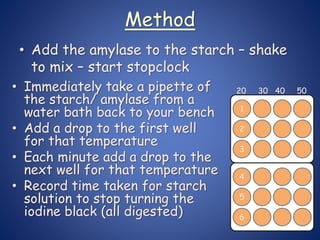 Method
• Add the amylase to the starch – shake
to mix – start stopclock
6
5
4
3
2
1
• Immediately take a pipette of
the starch/ amylase from a
water bath back to your bench
• Add a drop to the first well
for that temperature
• Each minute add a drop to the
next well for that temperature
• Record time taken for starch
solution to stop turning the
iodine black (all digested)
20 30 40 50
 