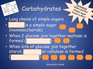 Carbohydrates
• Long chains of simple sugars
• Glucose is a simple sugar
(monosaccharide)
• When 2 glucose join together maltose is
formed (disaccharide)
• When lots of glucose join together
starch, glycogen or cellulose is formed
(polysaccharide)
Glycosidic bonds
 