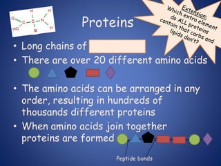 Proteins
• Long chains of amino acids
• There are over 20 different amino acids
• The amino acids can be arranged in any
order, resulting in hundreds of
thousands different proteins
• When amino acids join together
proteins are formed
Peptide bonds
 