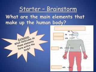 Starter – Brainstorm
What are the main elements that
make up the human body?
65%
18%
10%
3%
4%
 