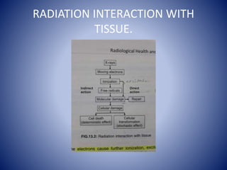 RADIATION INTERACTION WITH
TISSUE.
 