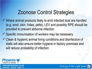 Hygenic Rpe Biological Agents | PPT