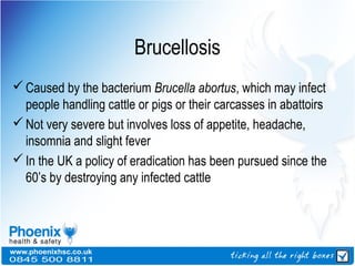 Brucellosis
Caused by the bacterium Brucella abortus, which may infect
people handling cattle or pigs or their carcasses in abattoirs
Not very severe but involves loss of appetite, headache,
insomnia and slight fever
In the UK a policy of eradication has been pursued since the
60’s by destroying any infected cattle
 