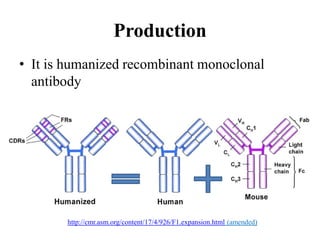 Production
• It is humanized recombinant monoclonal
antibody
http://cmr.asm.org/content/17/4/926/F1.expansion.html (amended)
 