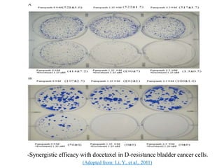 (Adopted from: Li, Y., et al., 2011)
-Synergistic efficacy with docetaxel in D-resistance bladder cancer cells.
 