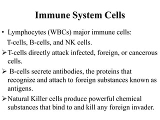 Immune System Cells
• Lymphocytes (WBCs) major immune cells:
T-cells, B-cells, and NK cells.
T-cells directly attack infected, foreign, or cancerous
cells.
 B-cells secrete antibodies, the proteins that
recognize and attach to foreign substances known as
antigens.
Natural Killer cells produce powerful chemical
substances that bind to and kill any foreign invader.
 