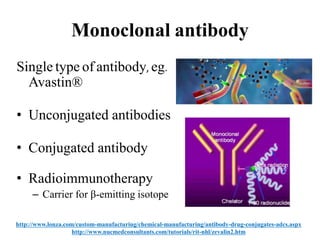 Monoclonal antibody
Single type of antibody, eg.
Avastin®
• Unconjugated antibodies
• Conjugated antibody
• Radioimmunotherapy
– Carrier for β-emitting isotope
http://www.lonza.com/custom-manufacturing/chemical-manufacturing/antibody-drug-conjugates-adcs.aspx
http://www.nucmedconsultants.com/tutorials/rit-nhl/zevalin2.htm
 