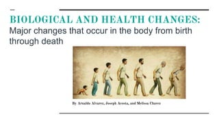 BIOLOGICAL AND HEALTH CHANGES:
Major changes that occur in the body from birth
through death
By Arnaldo Alvarez, Joseph Acosta, and Melissa Chavez
By Arnaldo Alvarez, Joseph Acosta, and Melissa Chavez
 