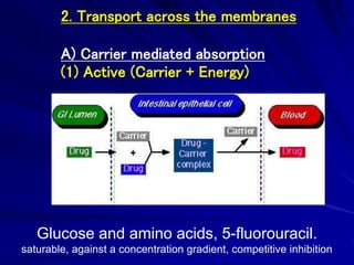 2. Transport across the membranes
A) Carrier mediated absorption
(1) Active (Carrier + Energy)
Glucose and amino acids, 5-fluorouracil.
saturable, against a concentration gradient, competitive inhibition
 