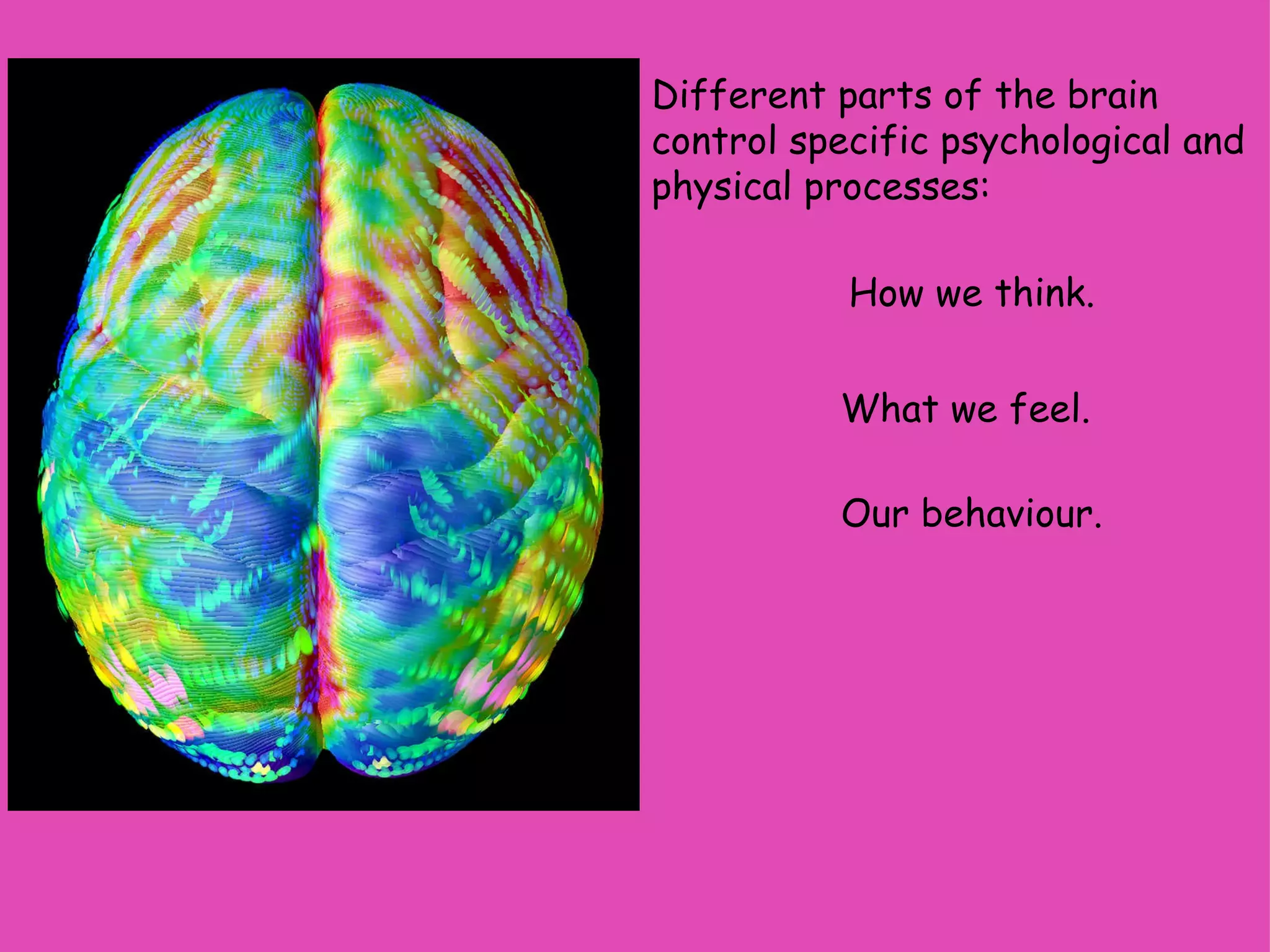 Different parts of the brain control specific psychological and physical processes:  How we think. What we feel. Our behaviour. 