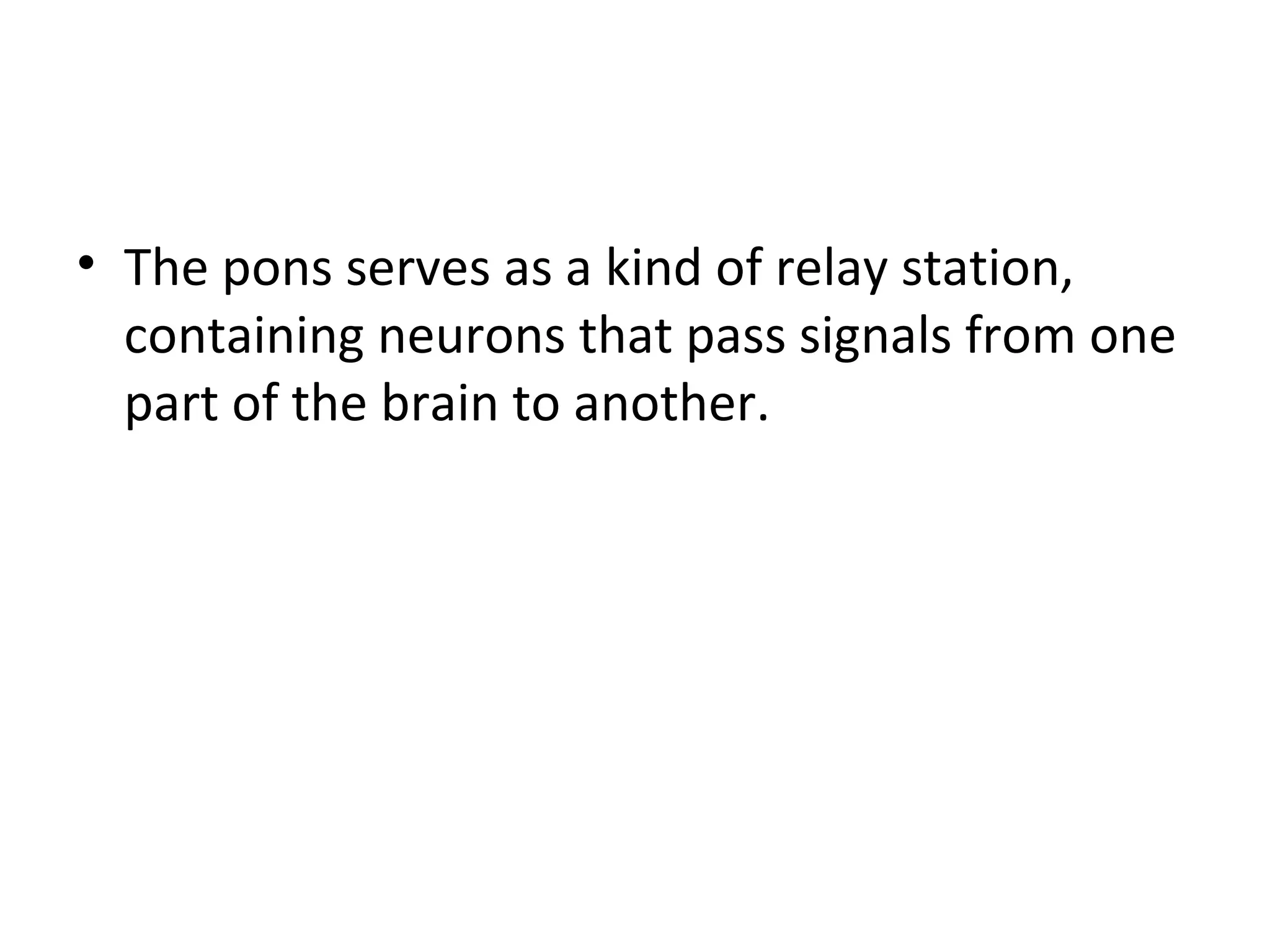 • The pons serves as a kind of relay station, 
containing neurons that pass signals from one 
part of the brain to another. 
 