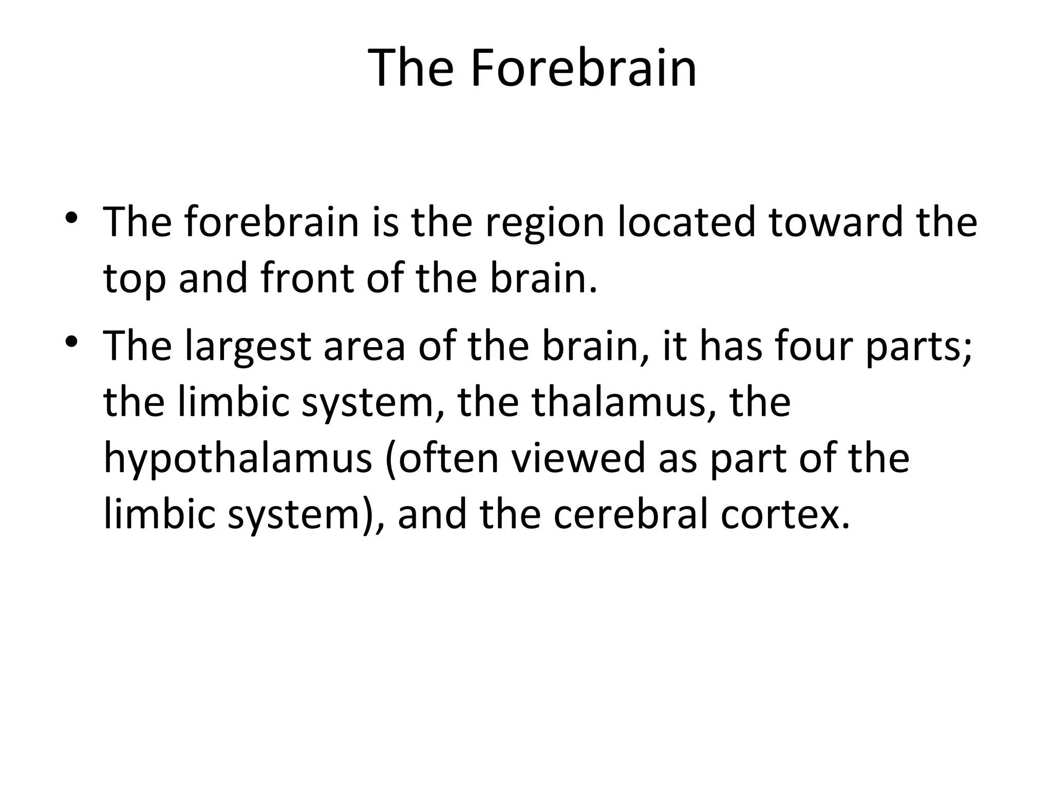 The Forebrain 
• The forebrain is the region located toward the 
top and front of the brain. 
• The largest area of the brain, it has four parts; 
the limbic system, the thalamus, the 
hypothalamus (often viewed as part of the 
limbic system), and the cerebral cortex. 
 
