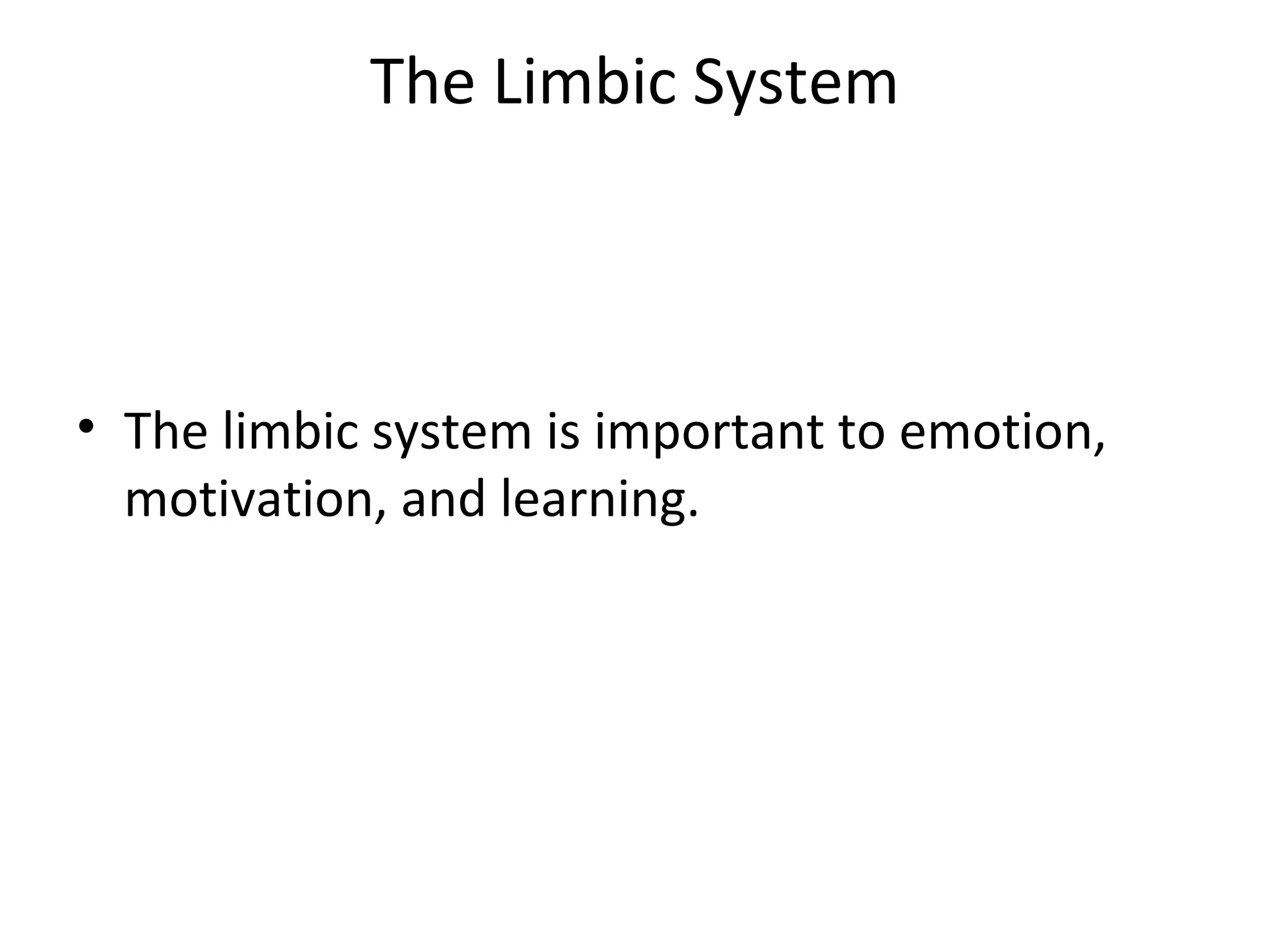 The Limbic System 
• The limbic system is important to emotion, 
motivation, and learning. 
 