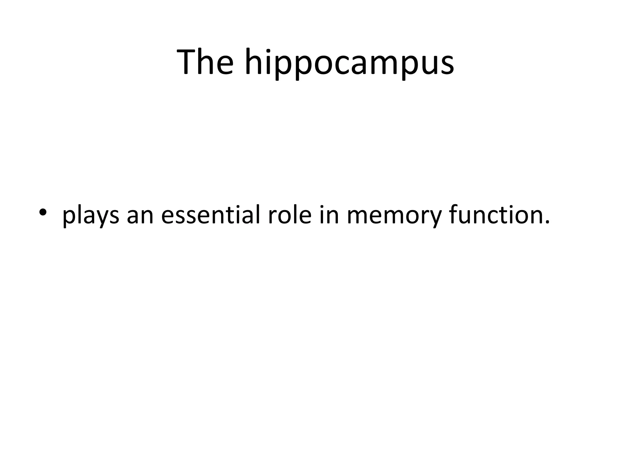 The hippocampus 
• plays an essential role in memory function. 
 