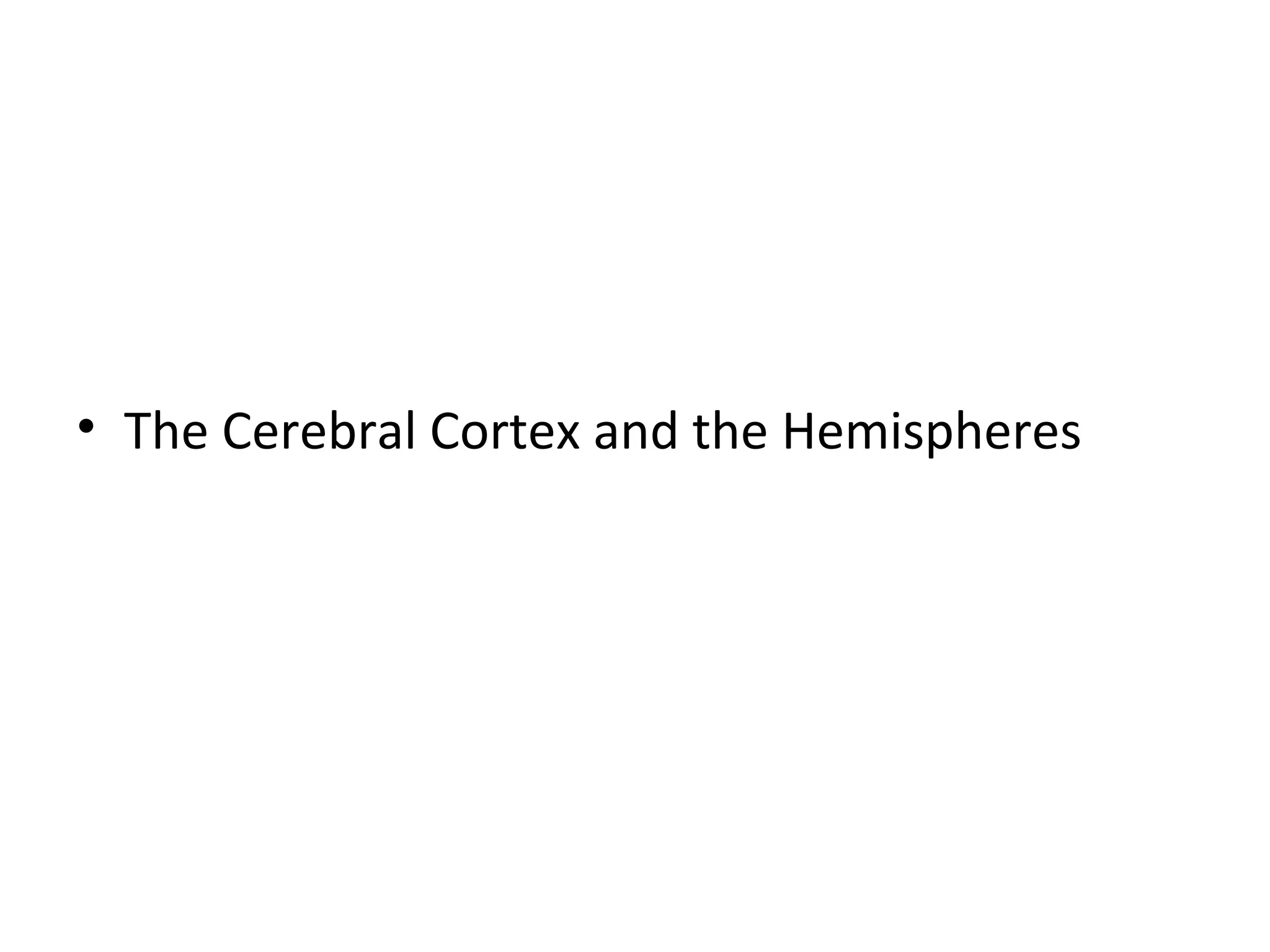 • The Cerebral Cortex and the Hemispheres 
 