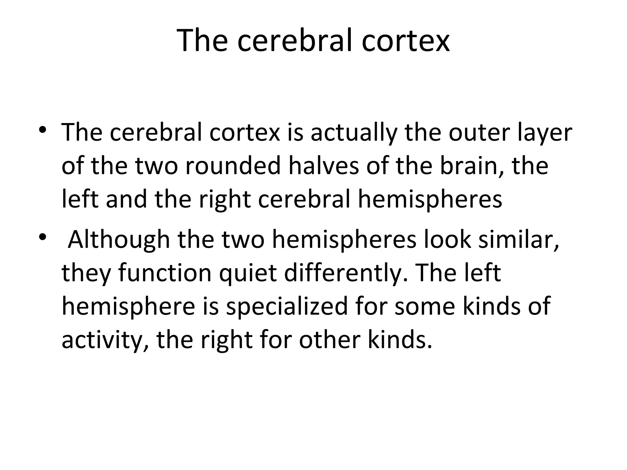 The cerebral cortex 
• The cerebral cortex is actually the outer layer 
of the two rounded halves of the brain, the 
left and the right cerebral hemispheres 
• Although the two hemispheres look similar, 
they function quiet differently. The left 
hemisphere is specialized for some kinds of 
activity, the right for other kinds. 
 